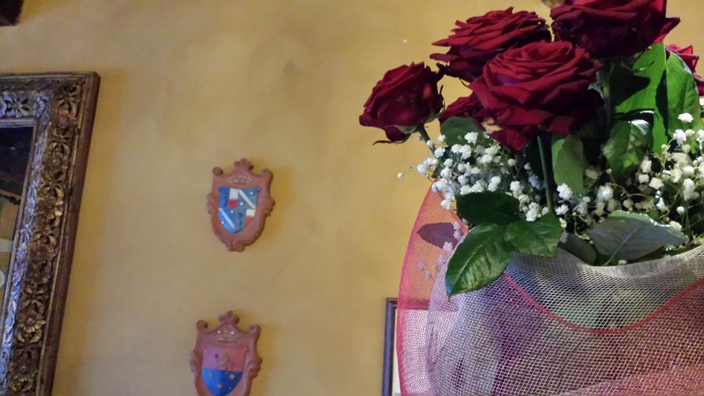 Hotel Torre Di San Martino Gazzola Di Rivalta エクステリア 写真